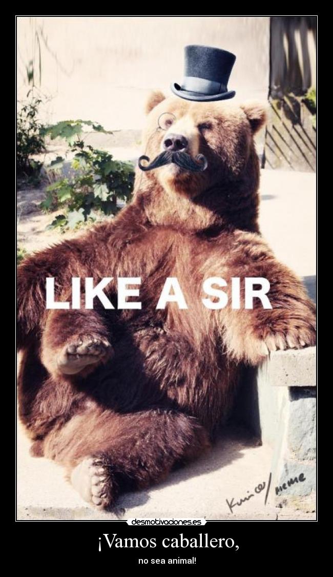 ¡Vamos caballero, -