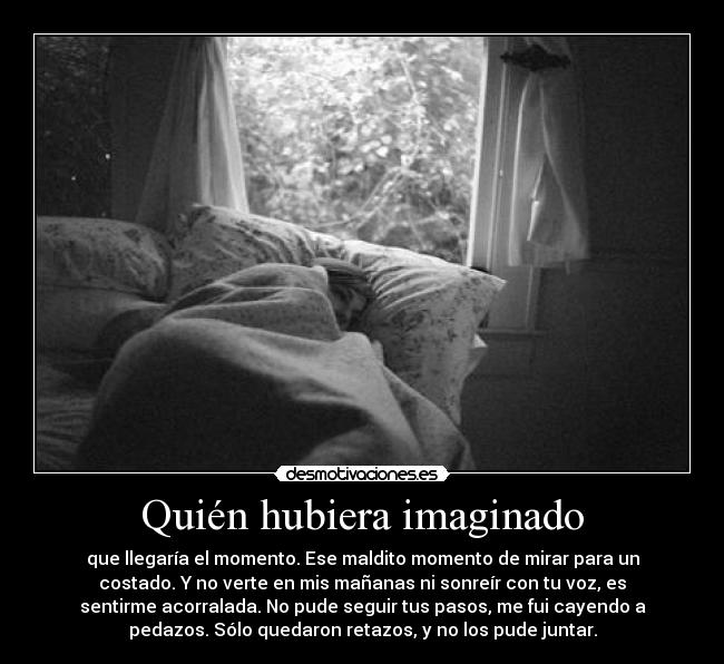 Quién hubiera imaginado - que llegaría el momento. Ese maldito momento de mirar para un
costado. Y no verte en mis mañanas ni sonreír con tu voz, es
sentirme acorralada. No pude seguir tus pasos, me fui cayendo a
pedazos. Sólo quedaron retazos, y no los pude juntar.