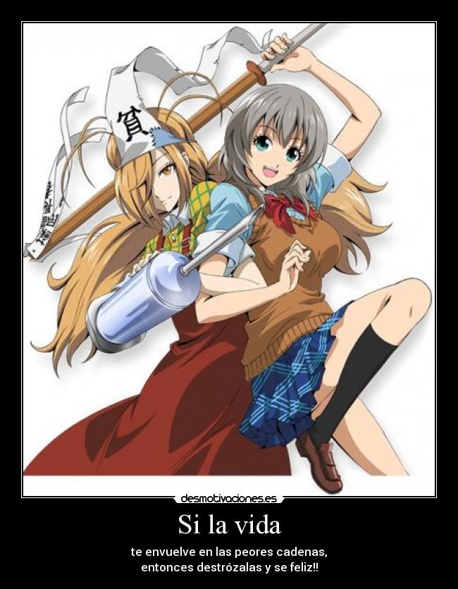 carteles vida mejor opcion para ser feliz desmotivaciones