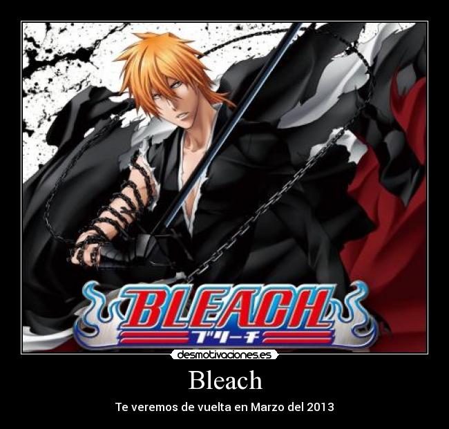 Bleach - Te veremos de vuelta en Marzo del 2013