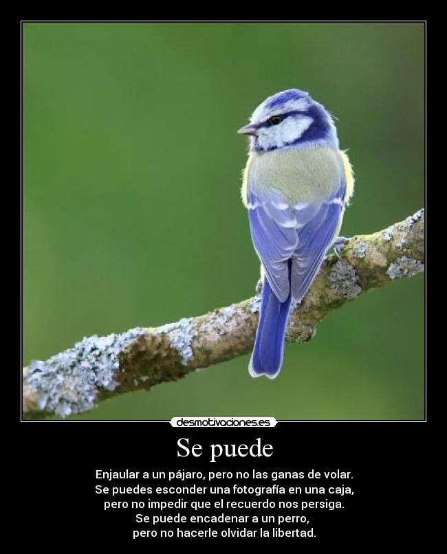 Se puede -