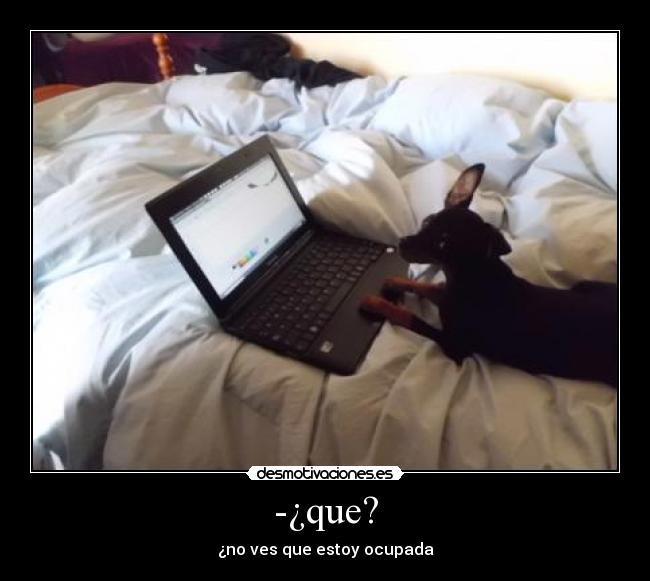 -¿que? -