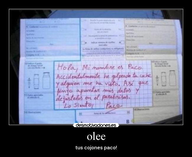 olee - 
