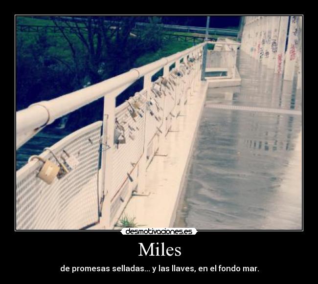 carteles amor desmotivaciones