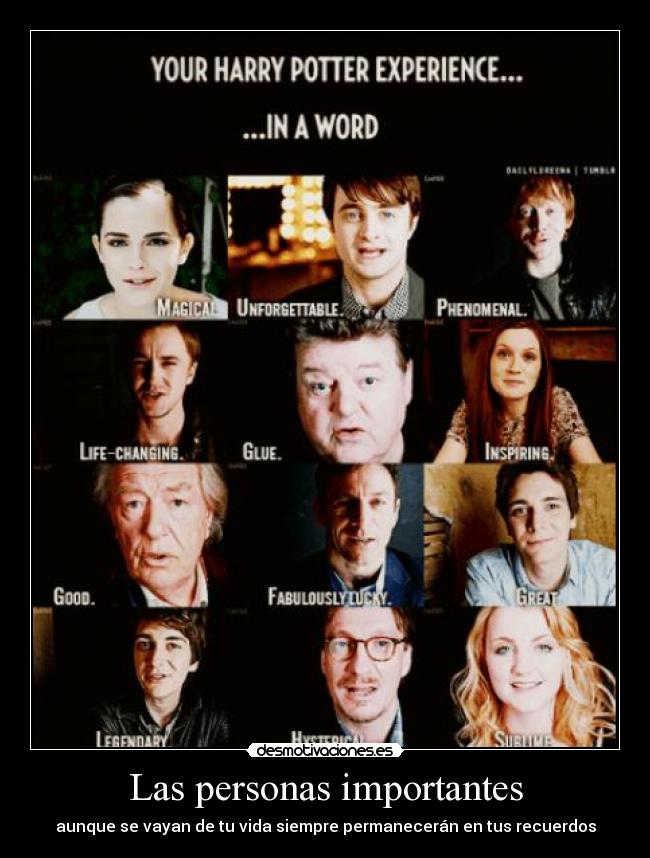 Las personas importantes - aunque se vayan de tu vida siempre permanecerán en tus recuerdos