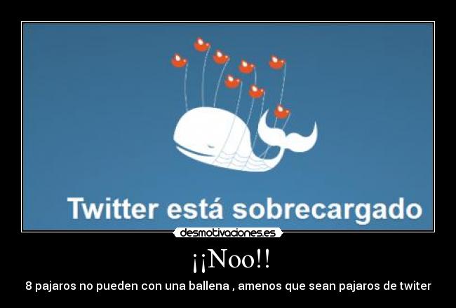 ¡¡Noo!! - 8 pajaros no pueden con una ballena , amenos que sean pajaros de twiter