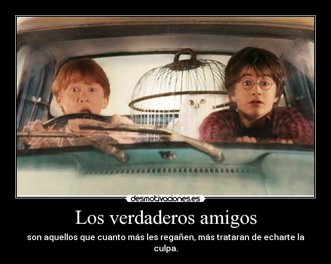 Los verdaderos amigos - son aquellos que cuanto más les regañen, más trataran de echarte la culpa.
