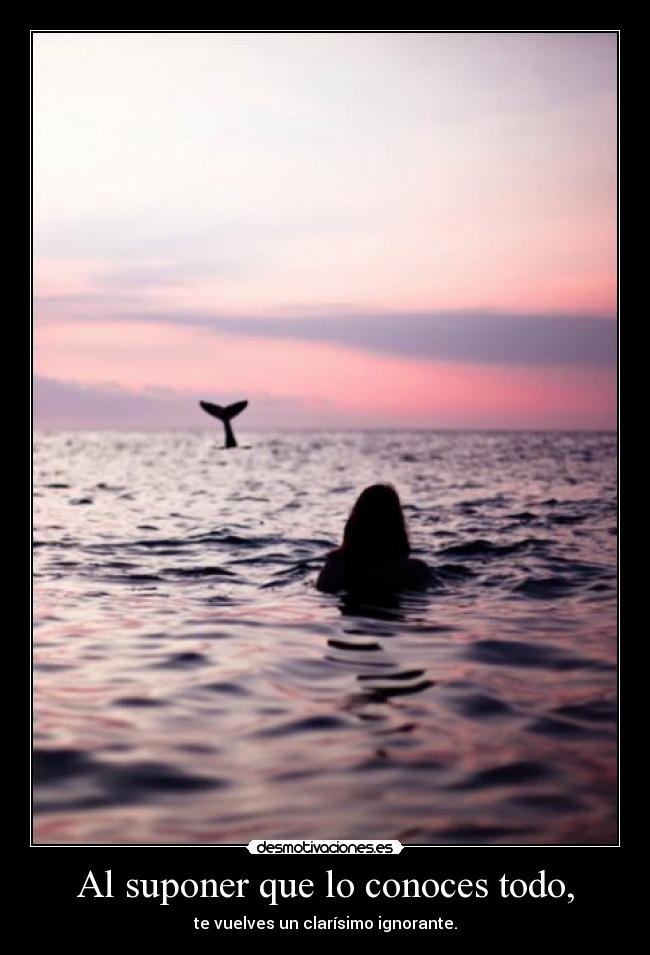 Al suponer que lo conoces todo, - te vuelves un clarísimo ignorante.