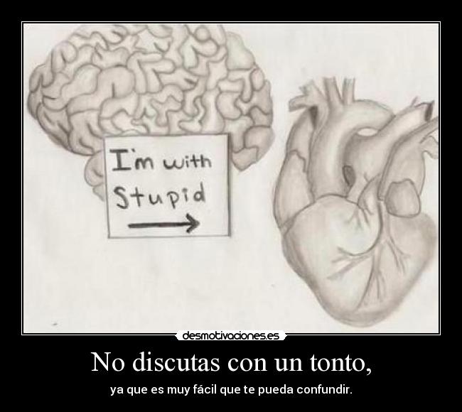 No discutas con un tonto, - ya que es muy fácil que te pueda confundir.