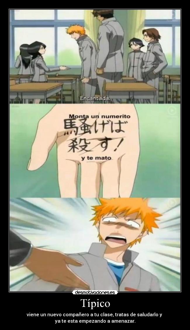 carteles anime manga otaku bleach breemkurosaki raptorhunters harukaze muwigaraklan ichiruki desmotivaciones