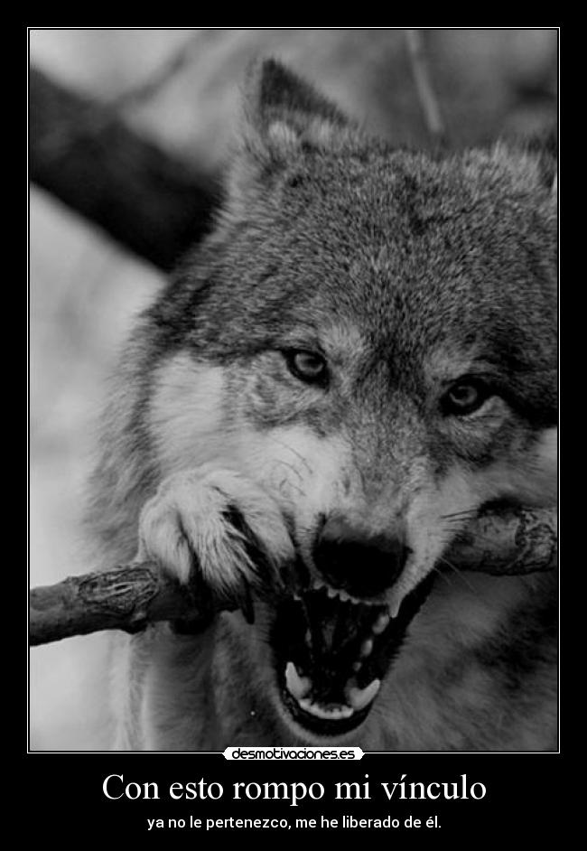 carteles malaquita desmotivaciones