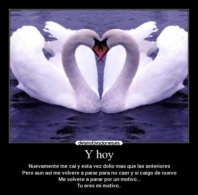 Y hoy - 