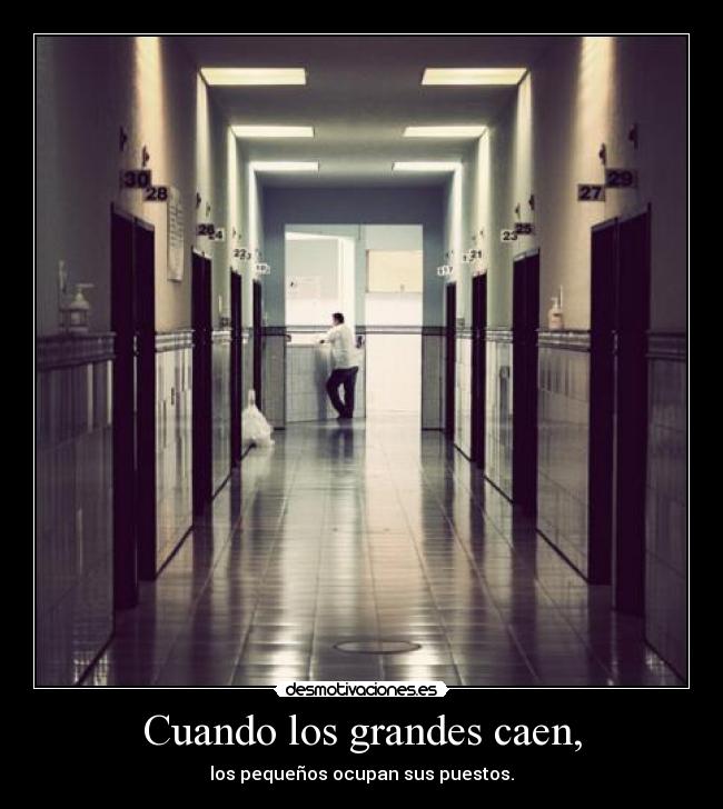 carteles cuando los grandes caen los pequenos ocupan sus puestos desmotivaciones