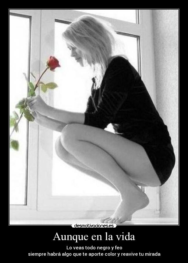 Aunque en la vida - Lo veas todo negro y feo
siempre habrá algo que te aporte color y reavive tu mirada