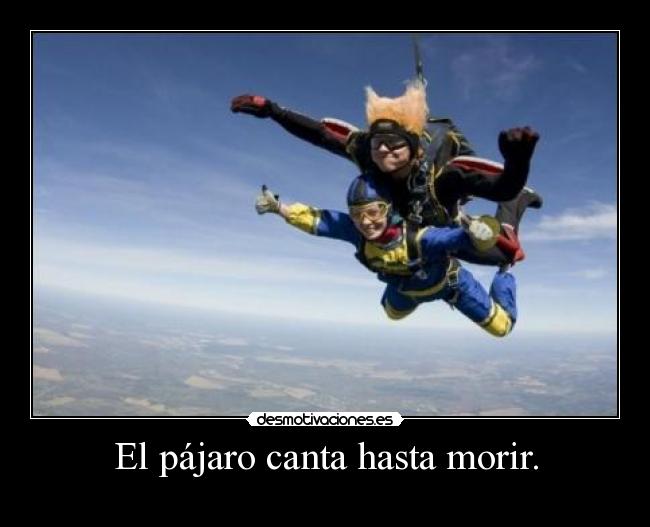 El pájaro canta hasta morir. -