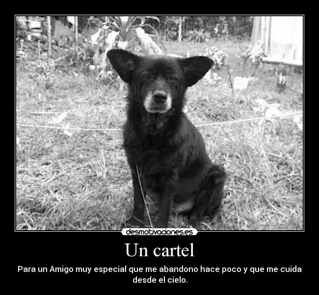 Un cartel - Para un Amigo muy especial que me abandono hace poco y que me cuida
desde el cielo.