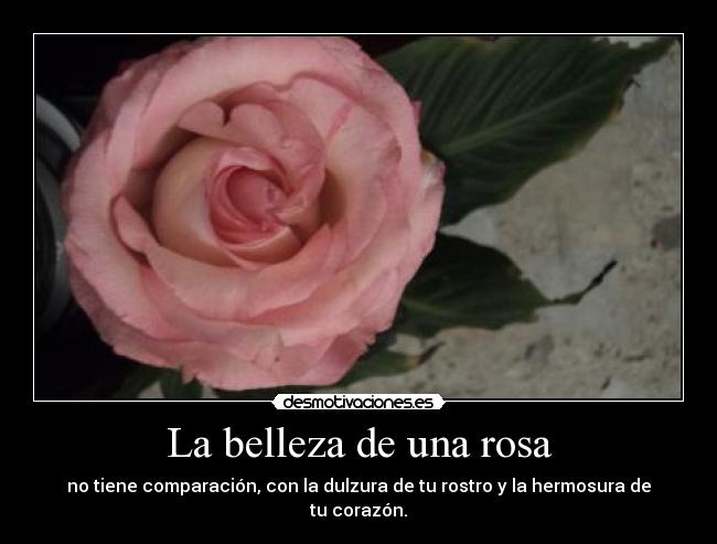 carteles alta semper desmotivaciones