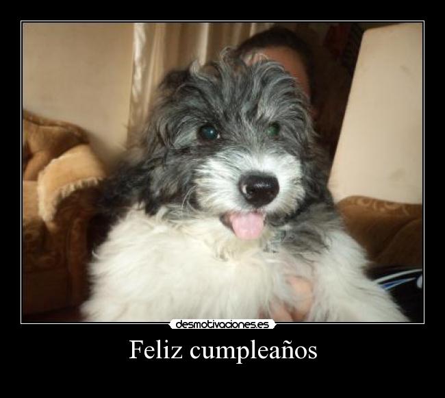 carteles cordero1996 desmotivaciones