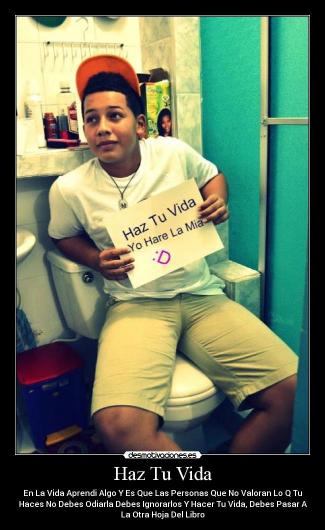 carteles vida haz vida desmotivaciones