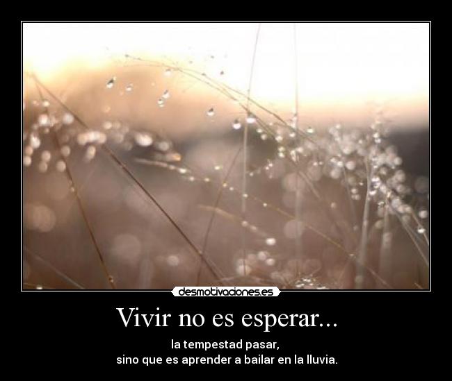 Vivir no es esperar... - la tempestad pasar,
sino que es aprender a bailar en la lluvia.