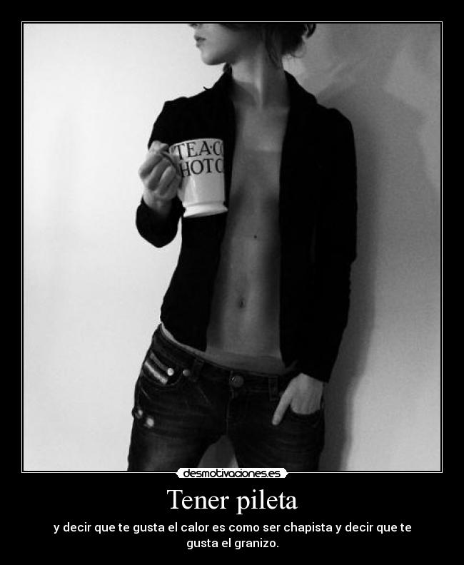 Tener pileta - y decir que te gusta el calor es como ser chapista y decir que te gusta el granizo.