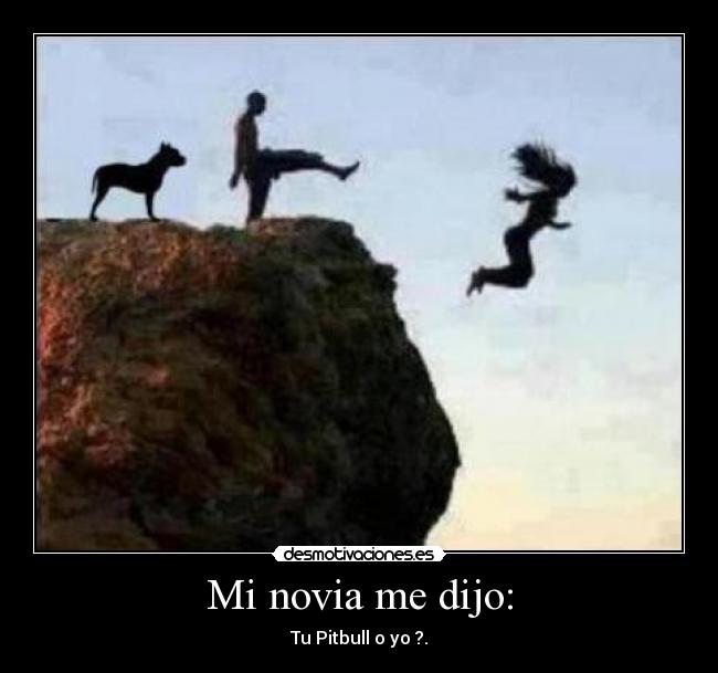 carteles pitbull desmotivaciones