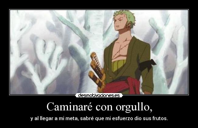 carteles one piece roronoa zoro anime desmotivaciones