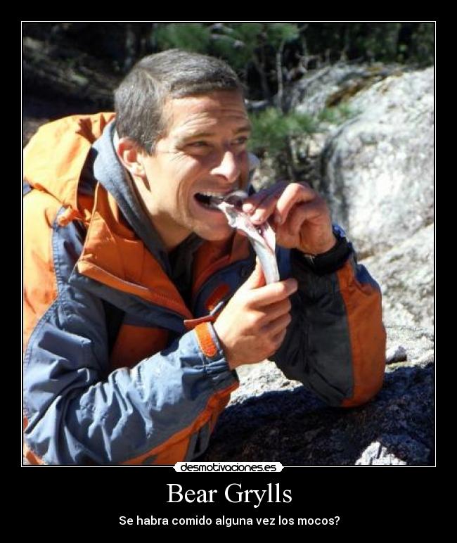 Bear Grylls - 
