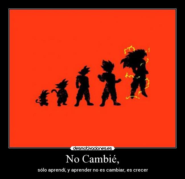 No Cambié, - sólo aprendí, y aprender no es cambiar, es crecer