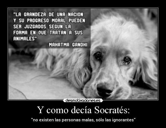Y como decía Socratés: - no existen las personas malas, sólo las ignorantes