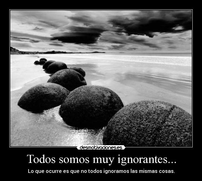 Todos somos muy ignorantes... - 