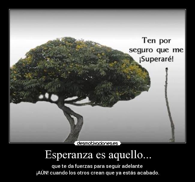 carteles esperanza esperanza desmotivaciones