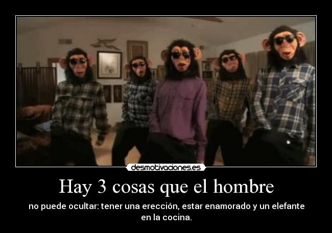 Hay 3 cosas que el hombre - no puede ocultar: tener una erección, estar enamorado y un elefante en la cocina.