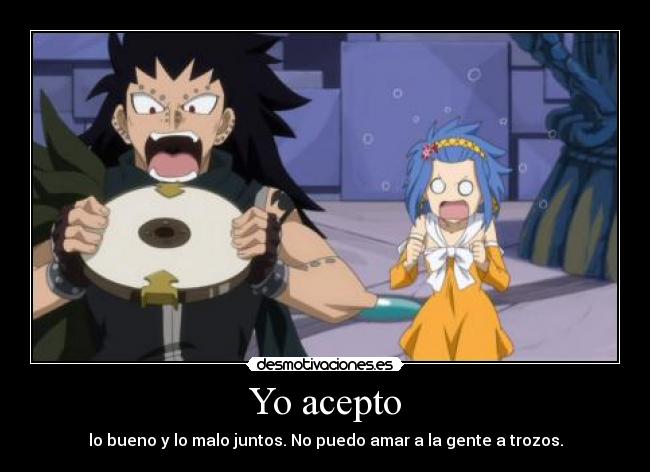 carteles otaku anime fairy tail levy gazille desmotivaciones