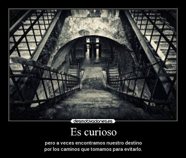 Es curioso - pero a veces encontramos nuestro destino
por los caminos que tomamos para evitarlo.