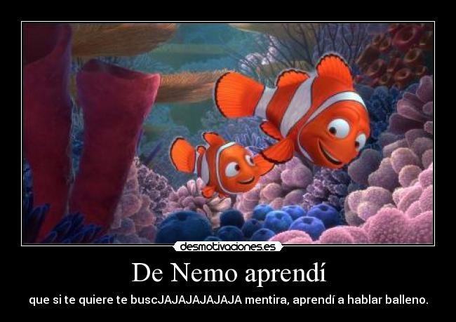 De Nemo aprendí - que si te quiere te buscJAJAJAJAJAJA mentira, aprendí a hablar balleno.