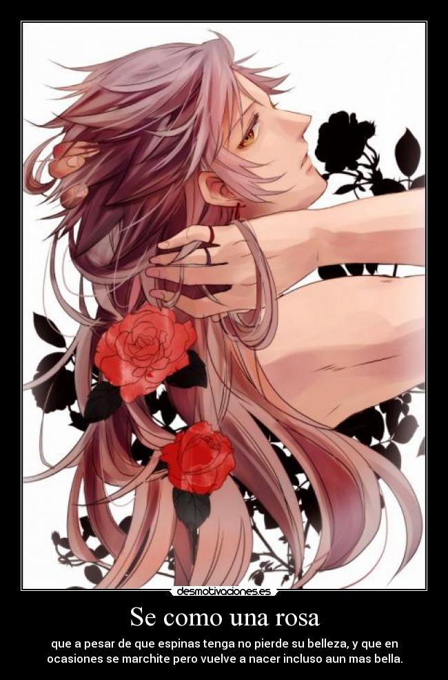 carteles rosas desmotivaciones