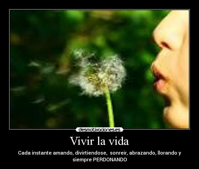 Vivir la vida - Cada instante amando, divirtiendose, sonreir, abrazando, llorando y
siempre PERDONANDO