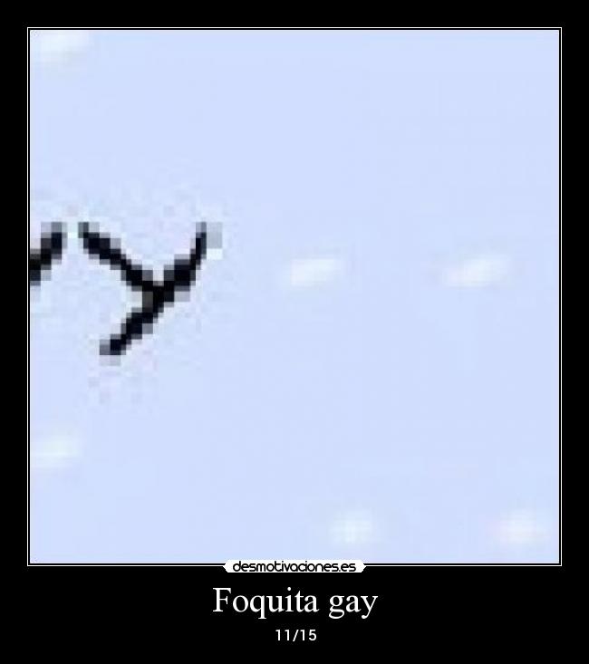 Foquita gay - 11/15