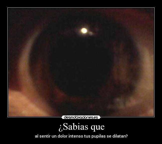 ¿Sabias que - al sentir un dolor intenso tus pupilas se dilatan?