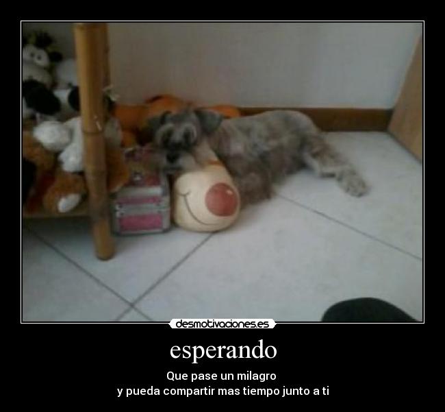 esperando - Que pase un milagro
y pueda compartir mas tiempo junto a ti