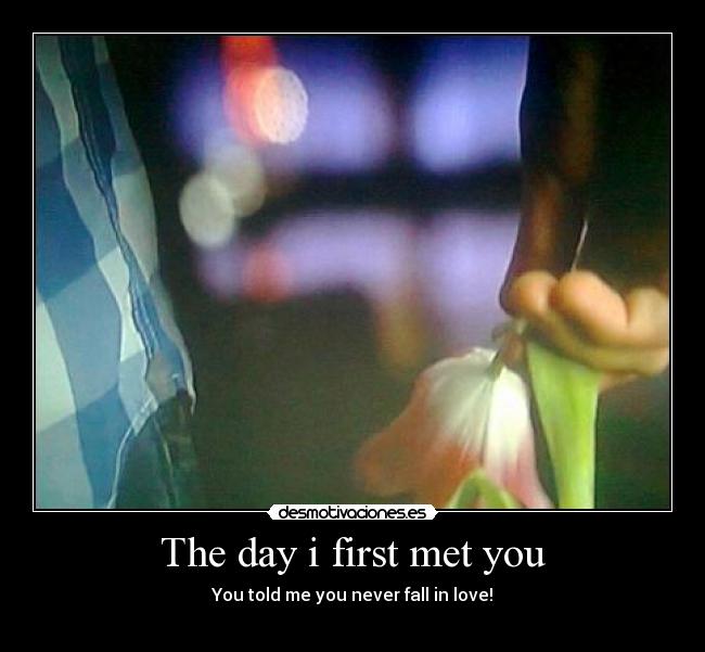 carteles never fall love desmotivaciones