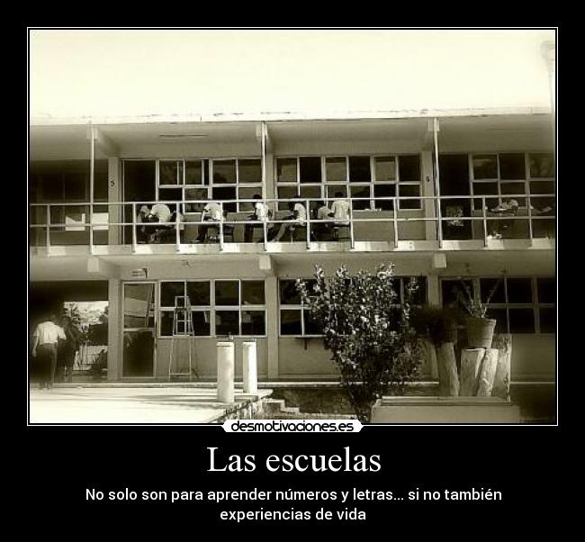 Las escuelas - No solo son para aprender números y letras... si no también experiencias de vida