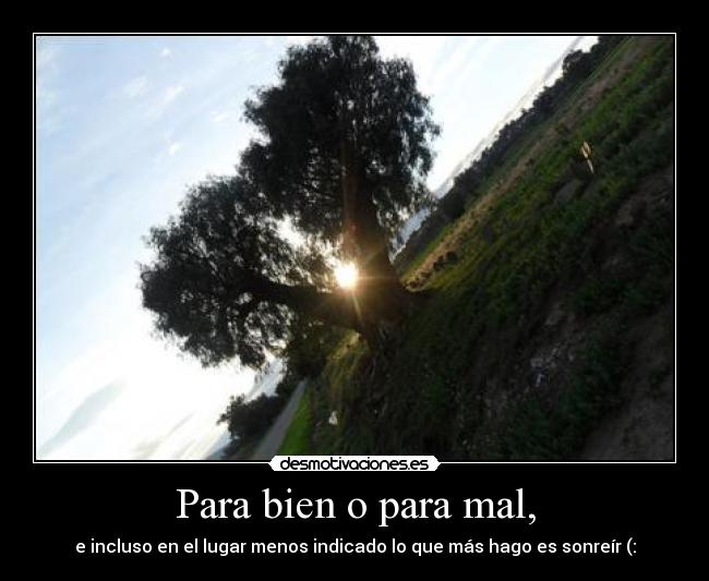 Para bien o para mal, - e incluso en el lugar menos indicado lo que más hago es sonreír (: