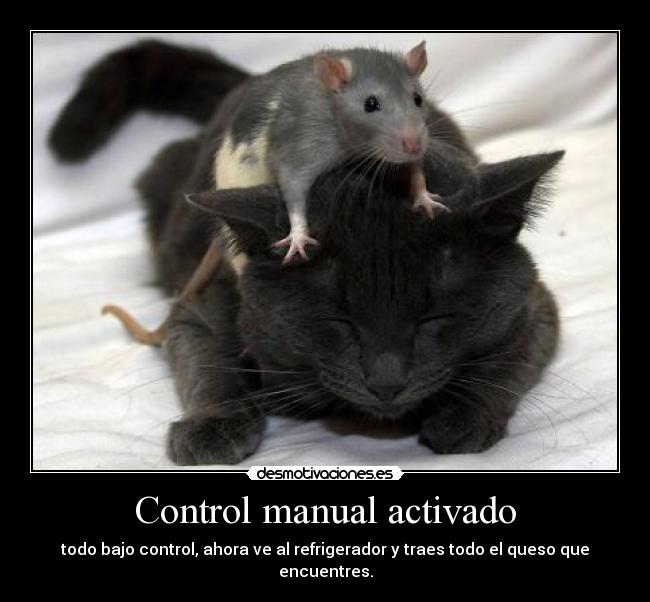Control manual activado - todo bajo control, ahora ve al refrigerador y traes todo el queso que encuentres.