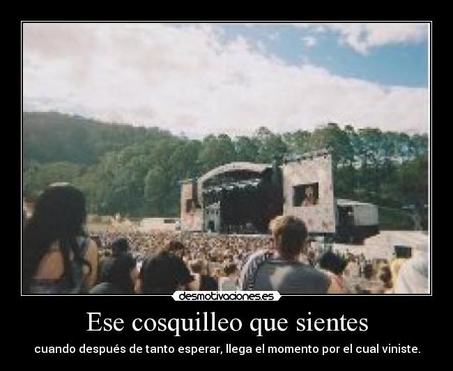 Ese cosquilleo que sientes -