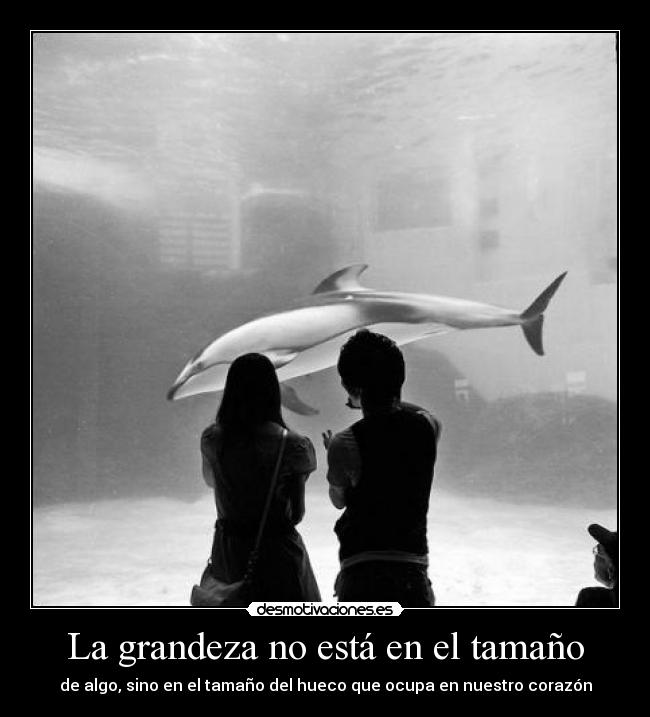 La grandeza no está en el tamaño - de algo, sino en el tamaño del hueco que ocupa en nuestro corazón