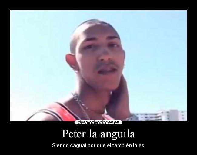 Peter la anguila - Siendo caguai por que el también lo es.