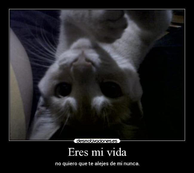 Eres mi vida - no quiero que te alejes de mi nunca.