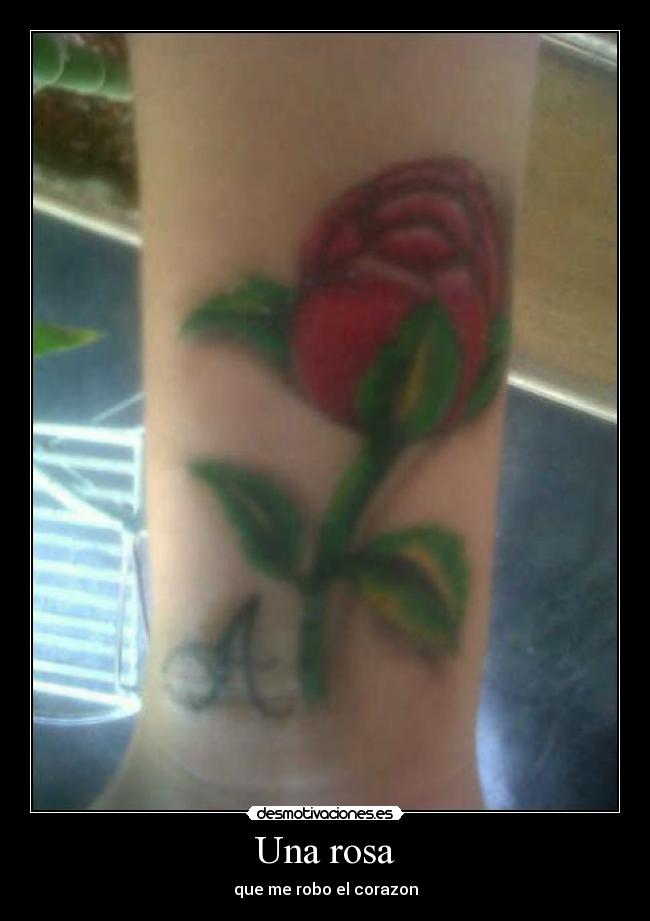 carteles rosa desmotivaciones